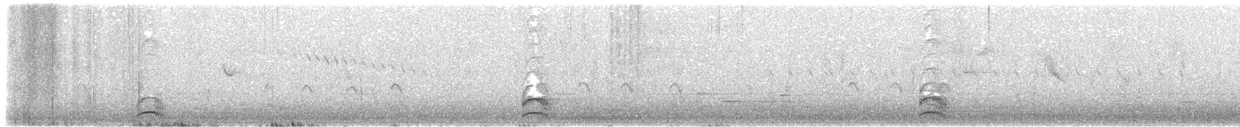 Südsee-Sumpfhuhn - ML609879092