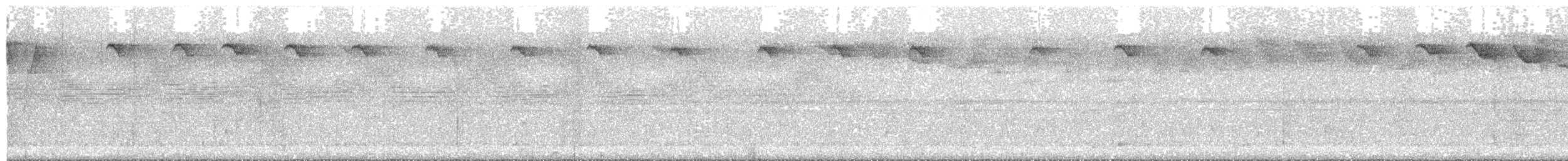 Карликовый колибри-отшельник - ML609896406