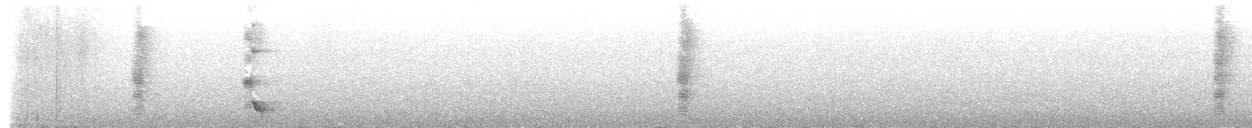 Méliphage carillonneur - ML609900615