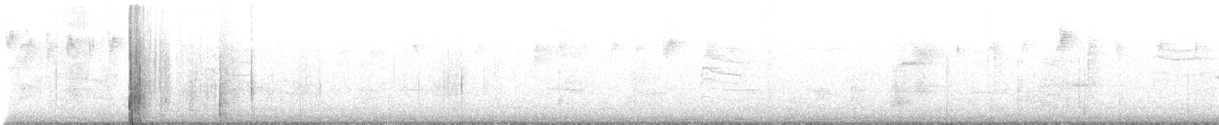 lesňáček černobílý - ML609901108