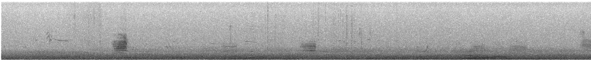Phainopepla - ML609909390