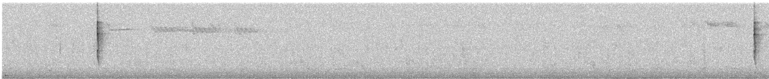 Pacific Wren - ML609911749