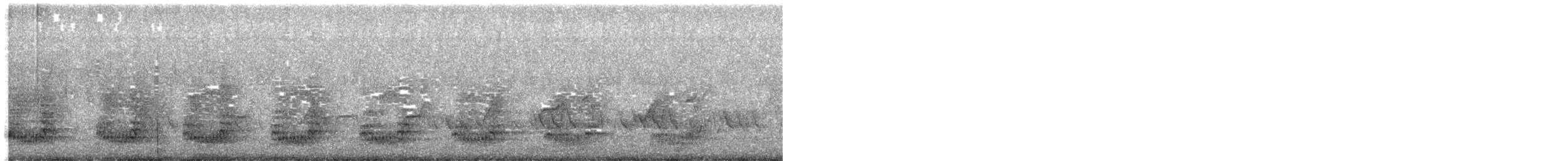 rødstrupefrankolin (castaneiventer) - ML609916020