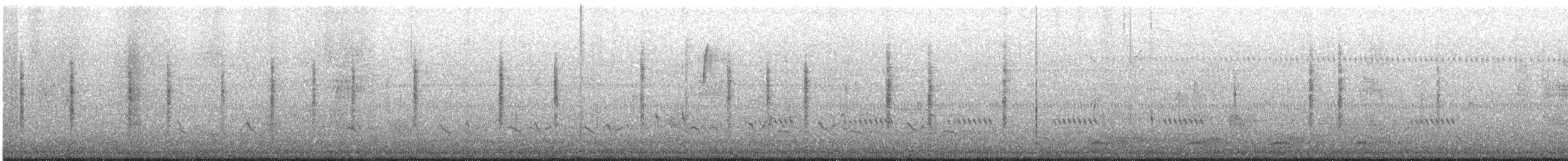 Marsh Wren - ML609925062