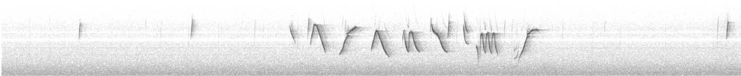 コバシマユシトド - ML609932059