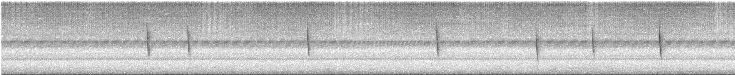 Troglodyte à bec court - ML609937264