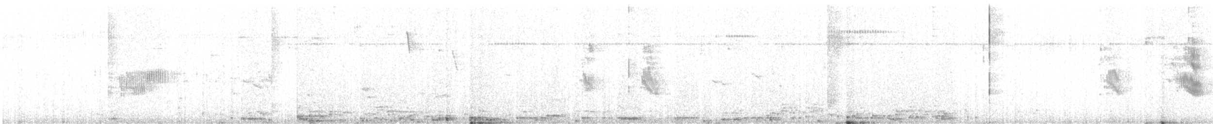 Патагонская ласточка (patagonica) - ML609938981