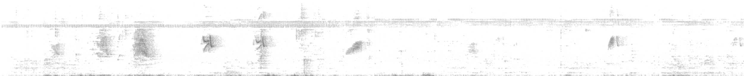 Ластовиця патагонська (підвид patagonica) - ML609938982