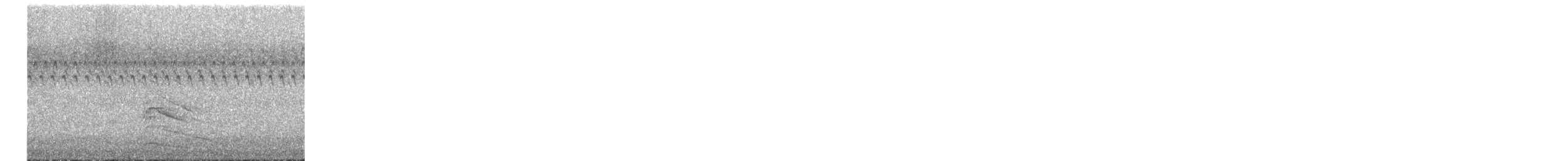 Yellow-bellied Sapsucker - ML609944622