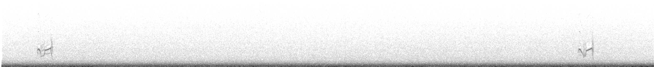 Semipalmated Plover - ML609947830