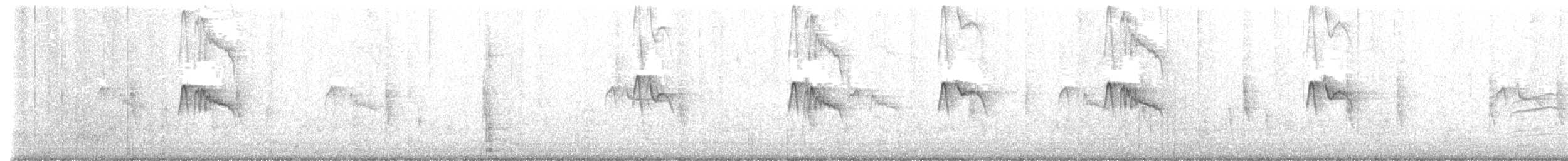 Black Phoebe - ML609948116