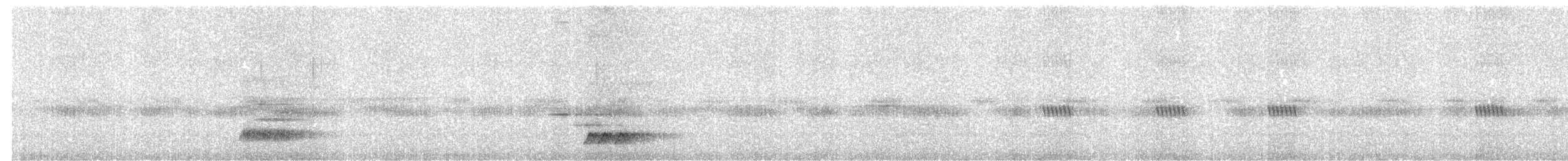 Schwartz Karıncaardıcı - ML609950951