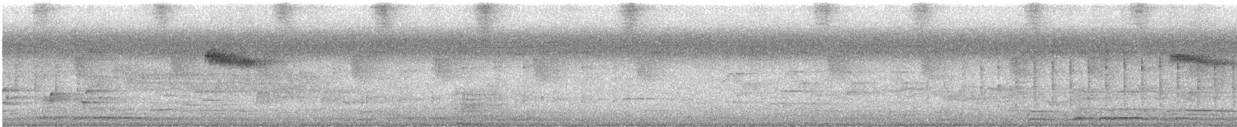 Maluku Küçük Yalıçapkını (uropygialis) - ML609952514