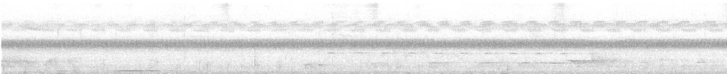 holub šarlatovoprsý - ML609954561