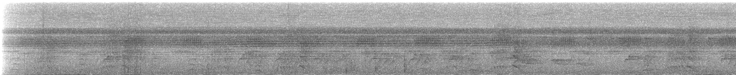 Kara Karınlı Sincap Guguğu - ML60995981