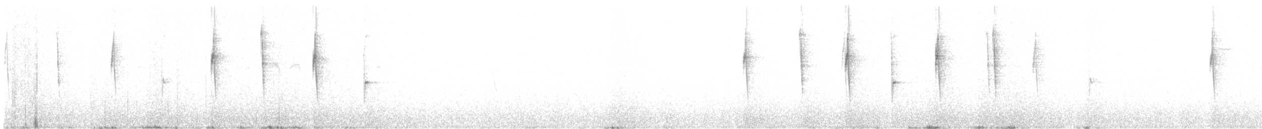 White-vented Violetear - ML609971232