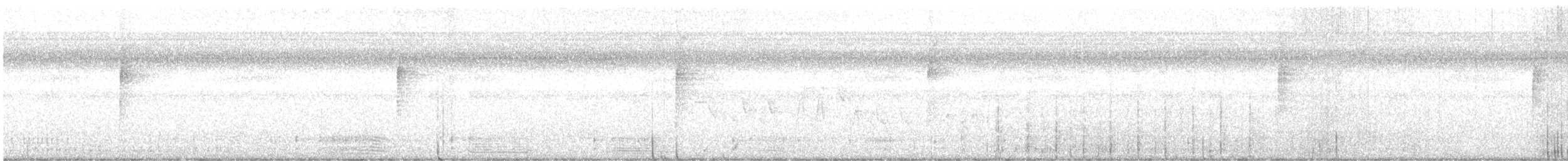 Cormoran à aigrettes - ML609971713