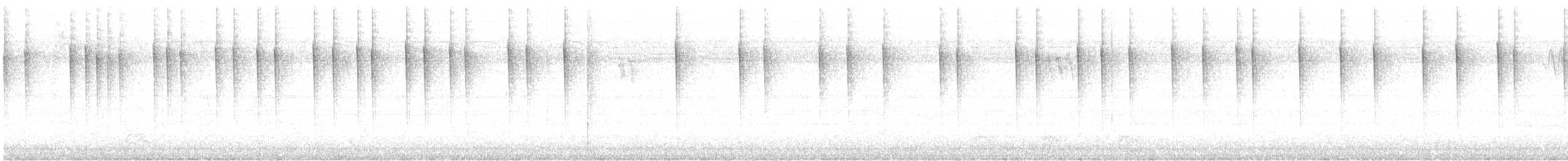 Goéland à bec cerclé - ML609973866