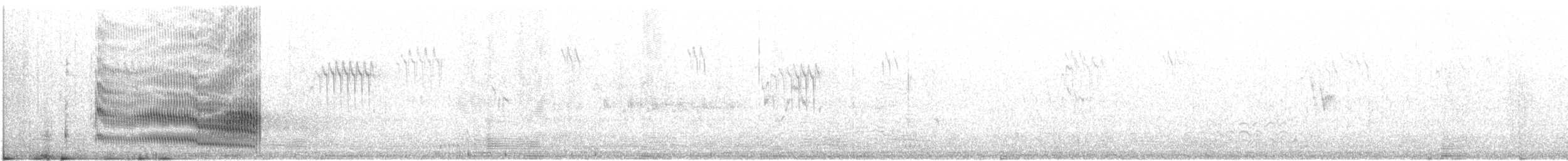 Flussseeschwalbe (longipennis) - ML609975917