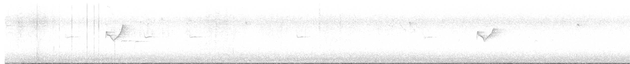 Luì forestiero - ML609975987