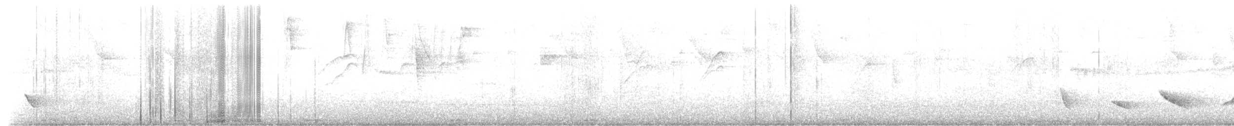 Зернолуск смугастоволий - ML609977744