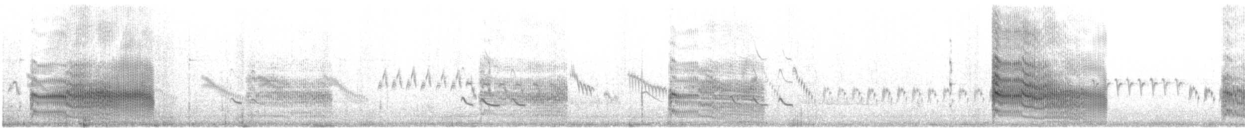 Flussseeschwalbe (longipennis) - ML609979848