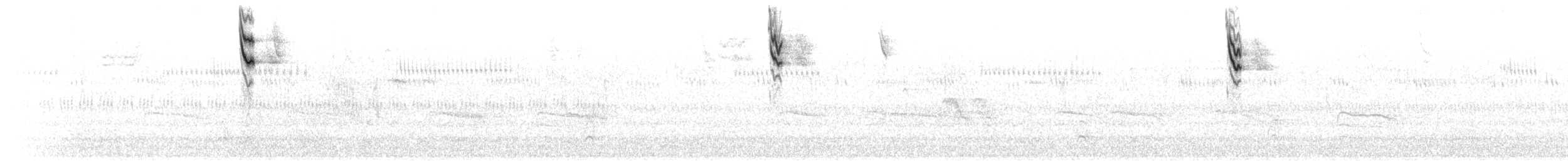 Savannah Sparrow (Savannah) - ML609983763