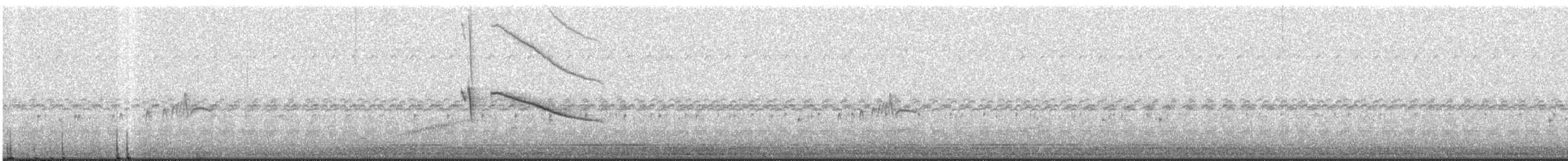 Weißschwanz-Nachtschwalbe - ML609993111