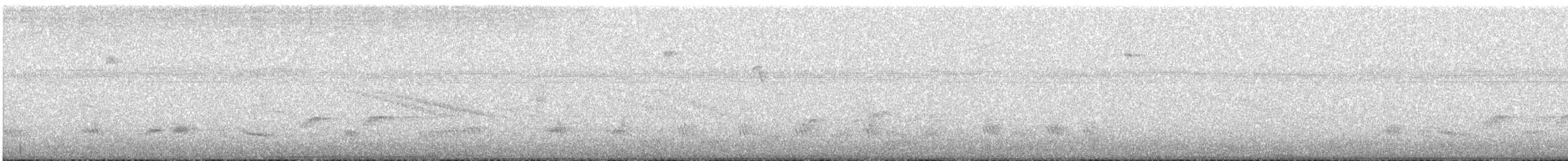 Weißschwanz-Nachtschwalbe - ML609993333