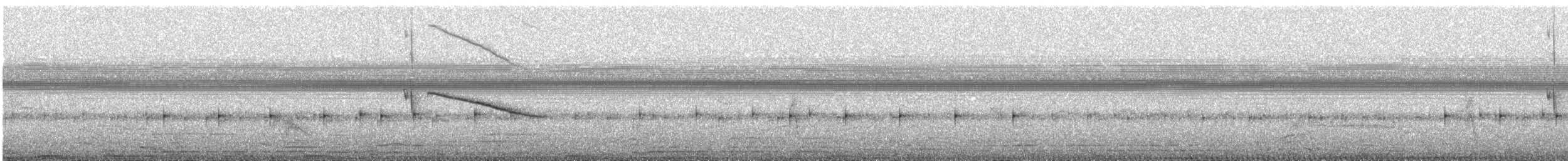 White-tailed Nightjar - ML609993860
