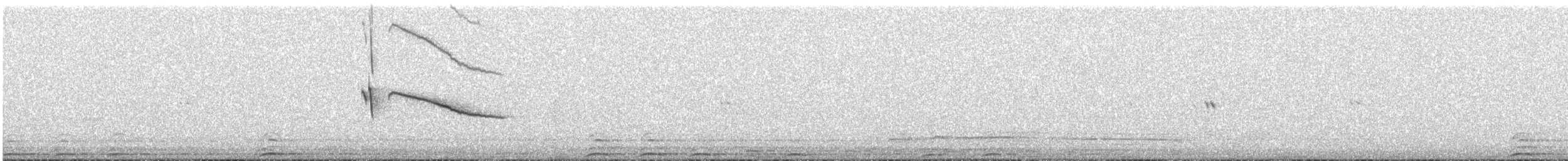 White-tailed Nightjar - ML609993870