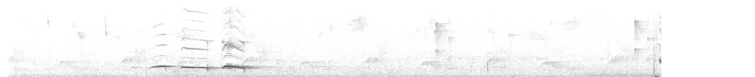 Spillmann's Tapaculo - ML609995691