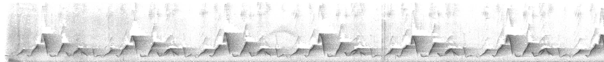 Plain-tailed Wren - ML609995765