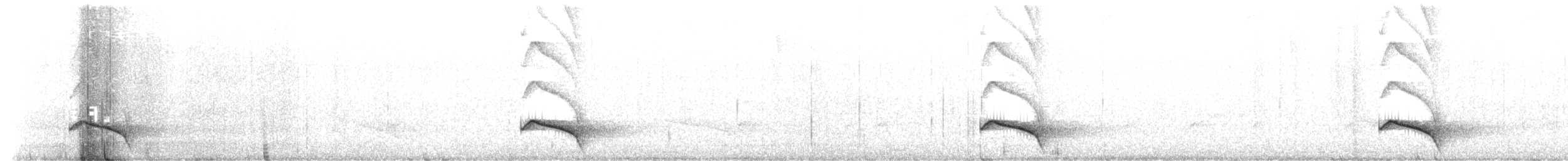 Ocellated Tapaculo - ML609995820