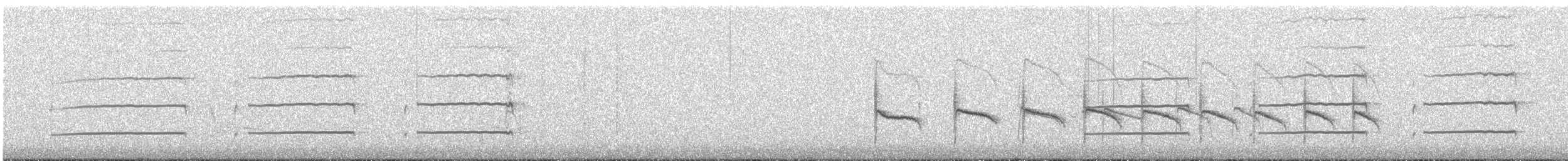 Güneyli Bıyıksız Tiranulet - ML609997723