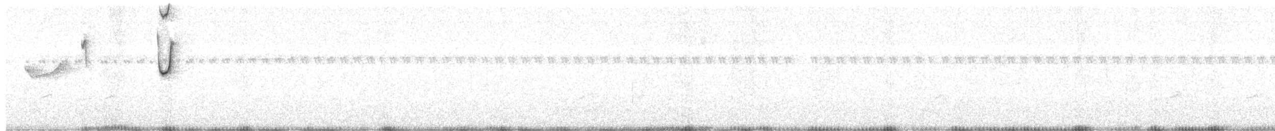 Солнечный колибри-отшельник - ML609999632