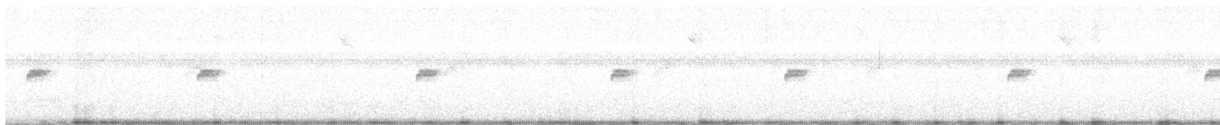 Карликовый колибри-отшельник - ML609999635