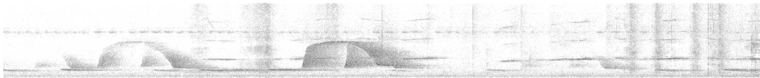 Aulia cendré - ML609999770