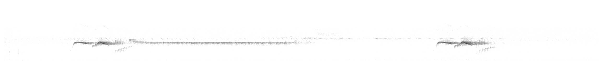 Atlantik Karınca Tiranı - ML610001444
