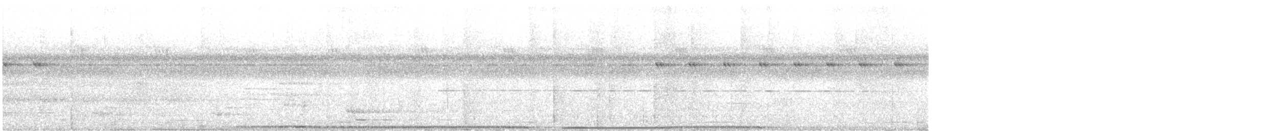 holub morotaiský - ML610002506
