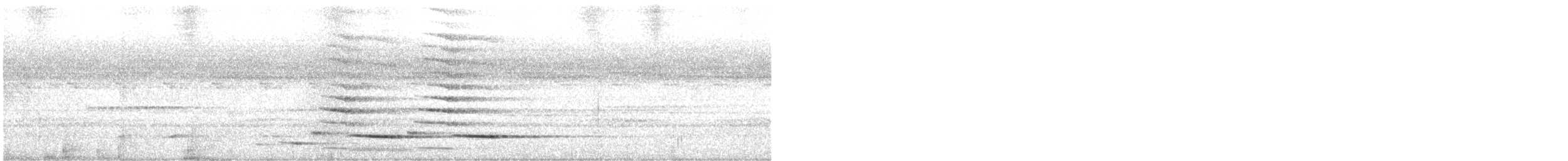 Сверкающий дронго (atrocaeruleus) - ML610002842