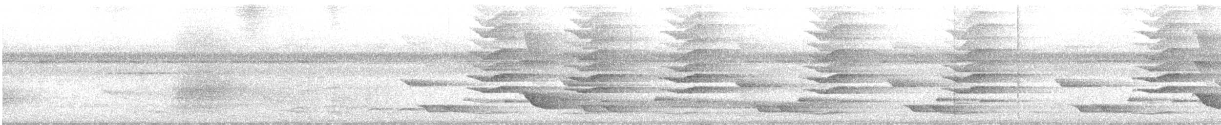 Glanzfleckdrongo (atrocaeruleus) - ML610002843
