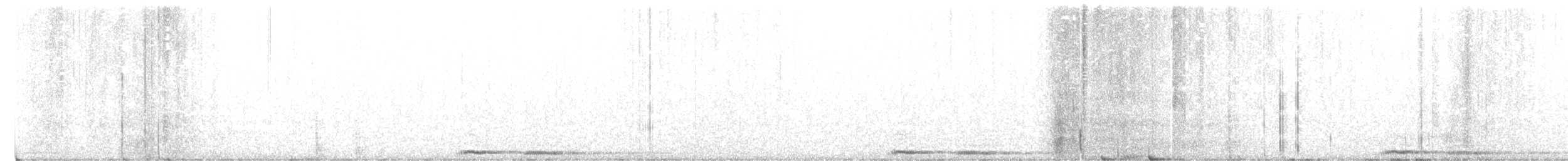 Сова-голконіг австралійська - ML610007059