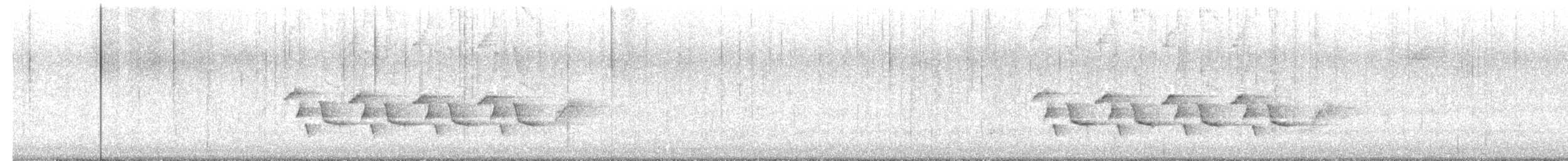Karolina Çıtkuşu - ML610019022