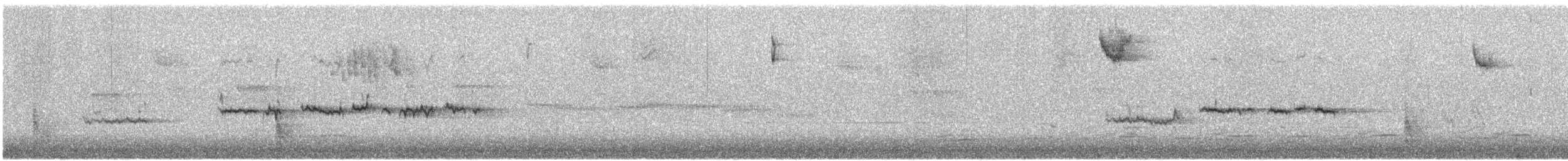 White-throated Sparrow - ML610019179