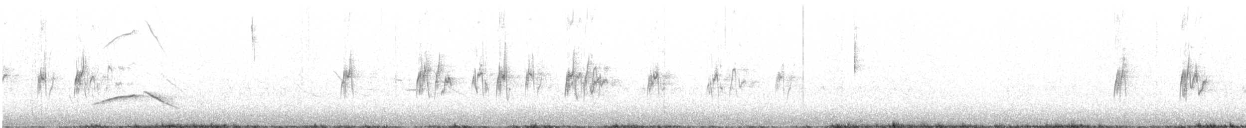 Schwarzschnabel-Hakentyrann - ML610020362