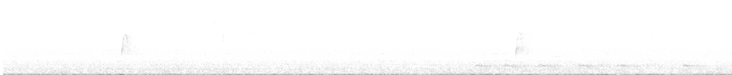 tyranovec zelenavý - ML610024024