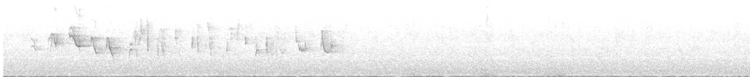 Трясогузковый певун - ML610024056