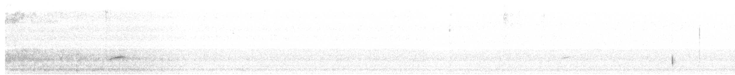 Дрізд-короткодзьоб Cвенсона - ML610028237