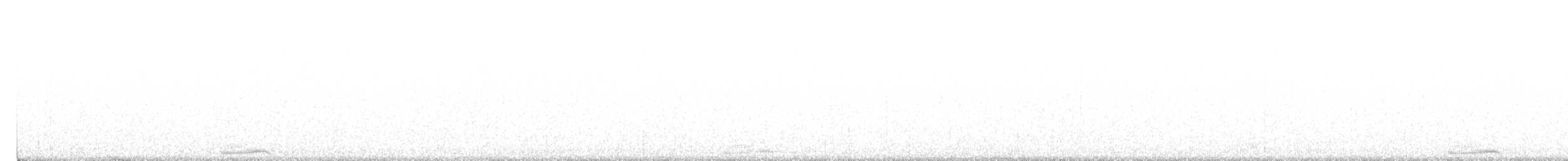 Corvo imperiale - ML610034154